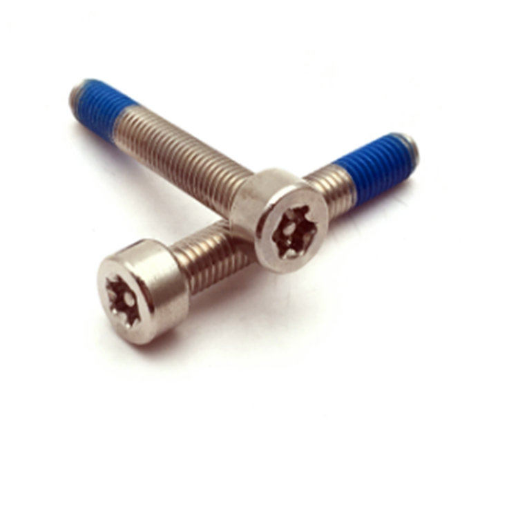 Śruba mocująca Torx ze stali nierdzewnej M5 ISO14579 304 z powłoką nylonową