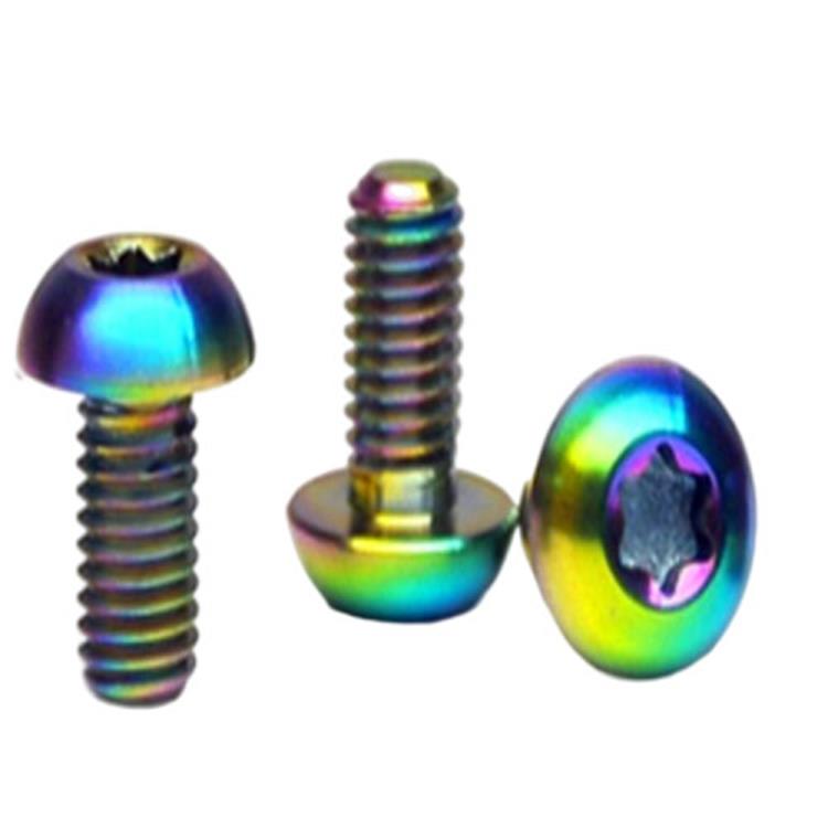 M3 M4 M5 M6 M8 M10 GR2 GR5 GR5 Śruby z łbem torx Tytanowe śruby do roweru