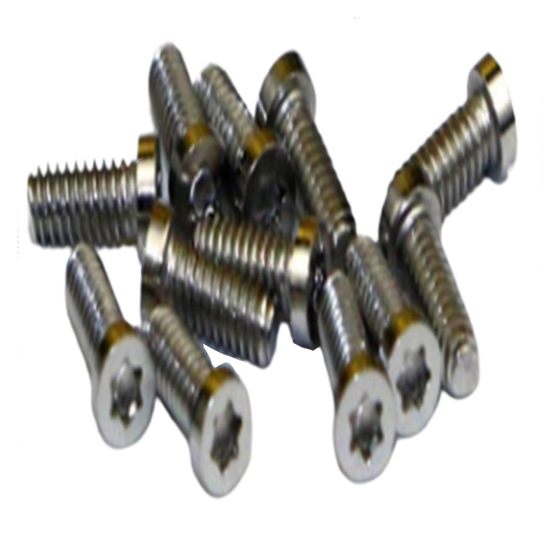 Miniaturowa mikrośruba M1,4 z 6 płatkami o wysokiej precyzji do zegarków Miniaturowa mikrośruba M1,4 z 6 płatkami o wysokiej precyzji do zegarków